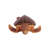 Giant Loggerhead Sea Turtle Statue