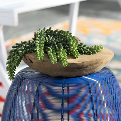 Plantes grasses artificielles en plastique