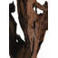 Kazu Dragon Tree Sculpture