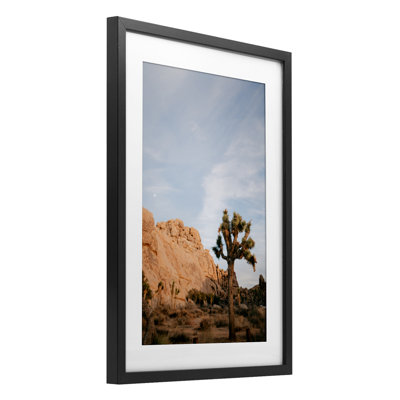 Joshua Tree & Canyon Framed Print Under Glass, design by Jade Sharp Photo