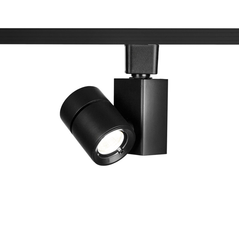 Exterminator II Adjustable Track Head, Black, 3000K/90, Narrow