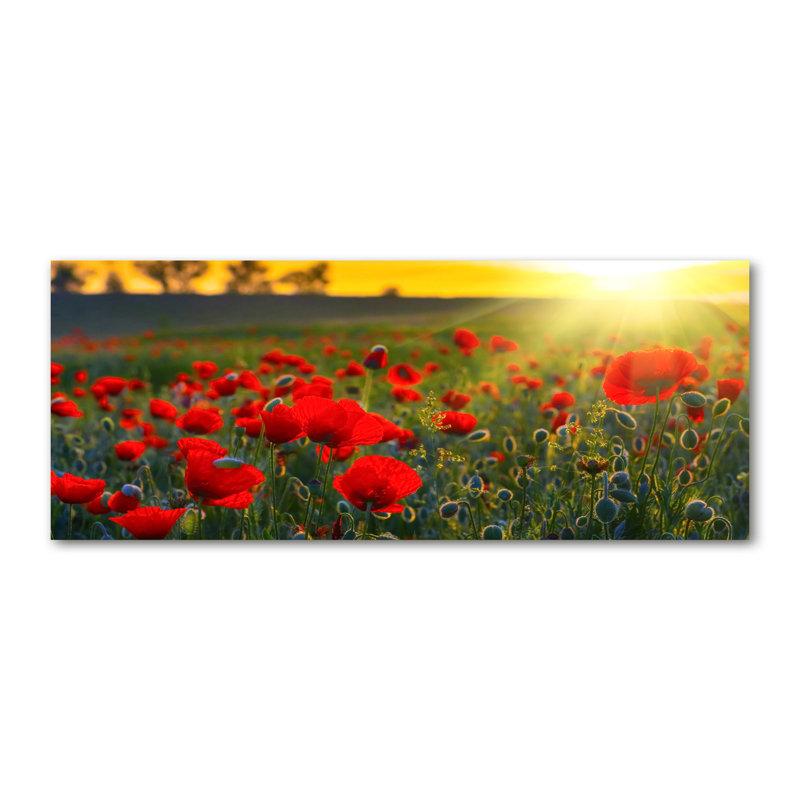 Field Of Poppies - Wrapped Canvas Print