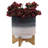 Kevana Ceramic Pot Planter