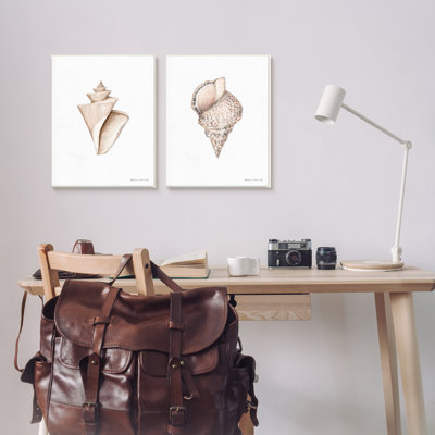 Tranquil Spiral Sea Shells Soft Marine Life Illustration 2pc