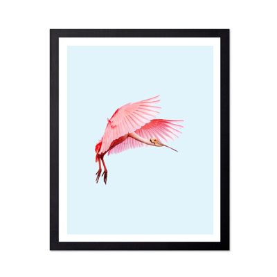 Flamant rose n ° 2