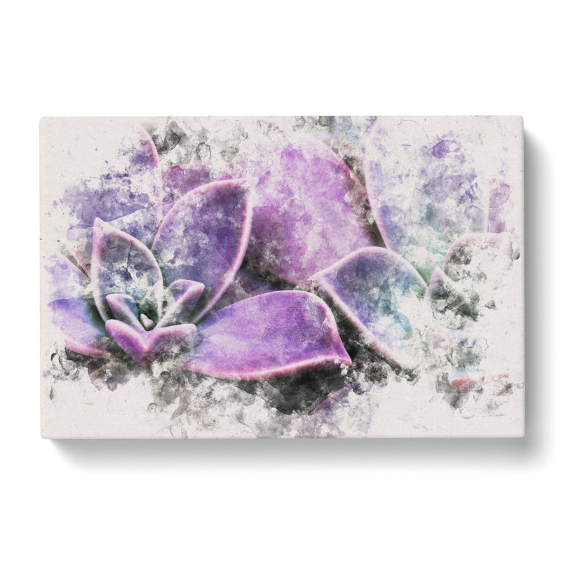 Lilac & Green Succulent Plant - Wrapped Canvas Print, 50cm H x 76cm W x 3cm D