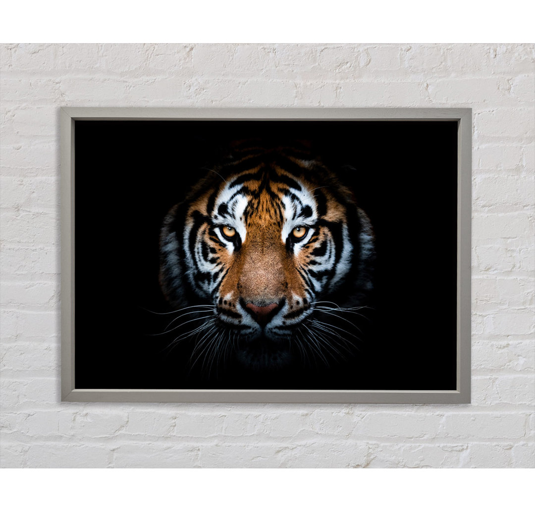 Tiger In The Dark - Einzelner Bilderrahmen Kunstdrucke auf Leinwand