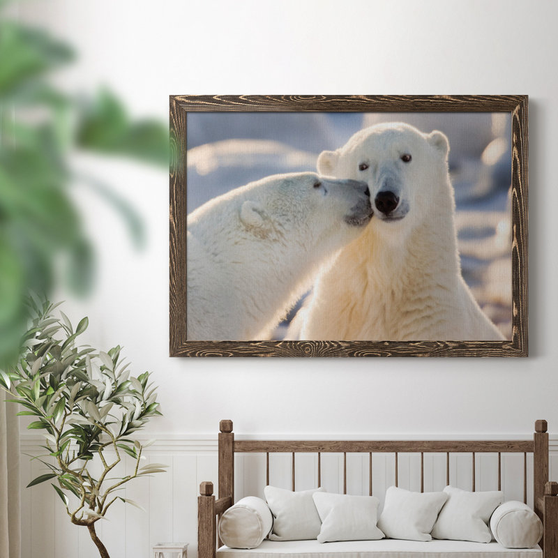 Baiser d'ours polaire - photographie sur toile, Noyer, H 37,5 po x l 27,5 po x P 1,5 po