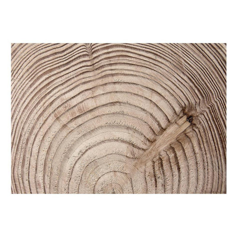 Murale grain de bois Damarco, Beige, L 82 po x l 118 po