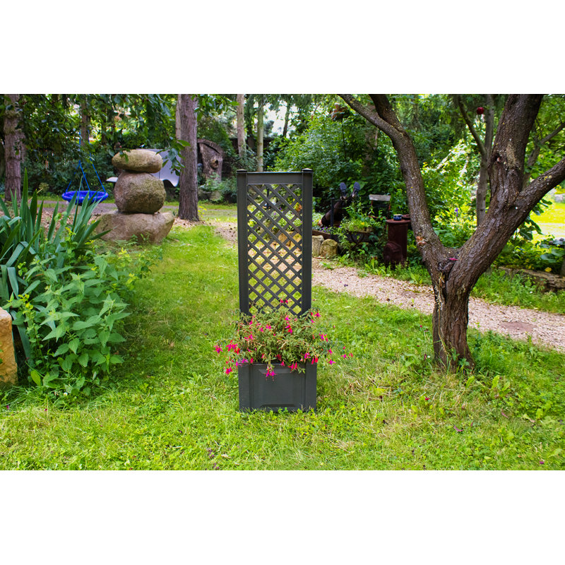 Aalisha Planter Box, Anthracite, Set of 2