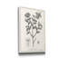«Antique Black and White Botanical», reproduction d'art sur toile tendue-1330083310