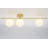 3 - Light Glass Globe Flush Mount Ceiling Light