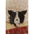 Washable Rug Dogs