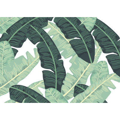 Wall Mural Wallpaper