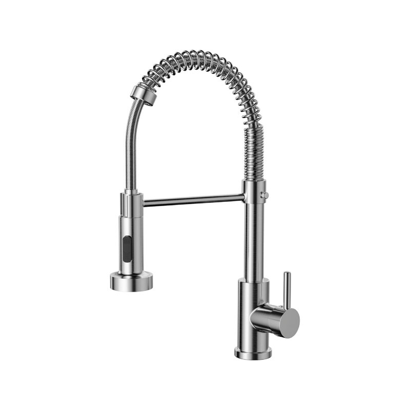 Rebrilliant Pull Out Kitchen Faucet