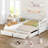 2 Drawers Daybed With Trundle-1941339694