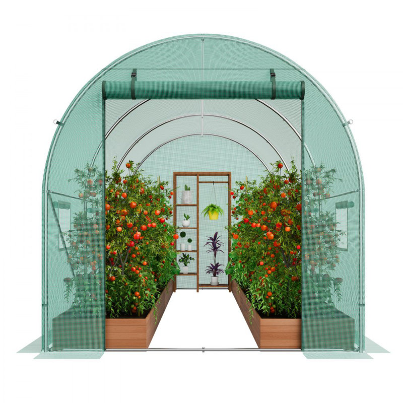 Housse en polyéthylène à effet de serre 9,58 x 6,43 x 6,23 pi, H 75,59 po x l 175,29 po x P 76,38 po, Vert