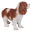 Statue du roi Charles Spaniel debout