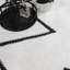 Baner Area Rug-315880535