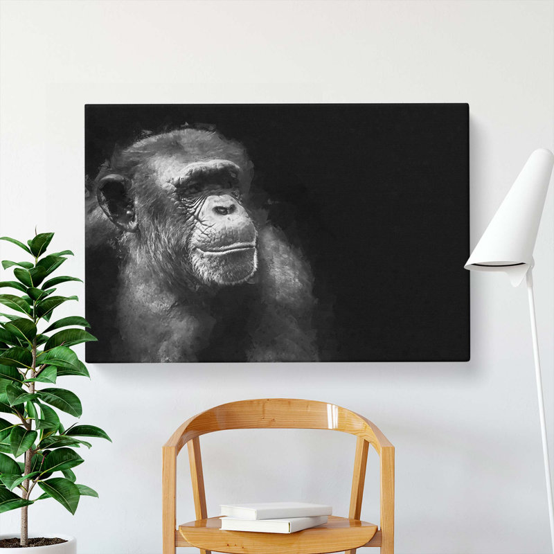 Ape in Abstract - Wrapped Canvas, 50cm H x 76cm W x 3cm D