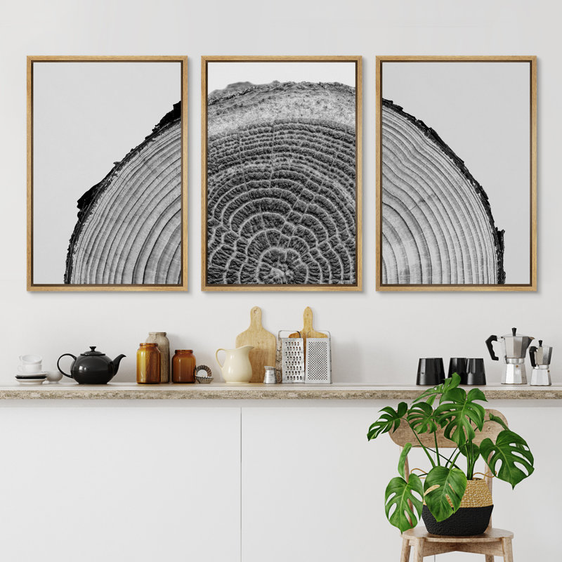 Natural Framed Black and White Tree Rings Canvas Art Set