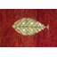 Tapis rouge Maddison-Lee