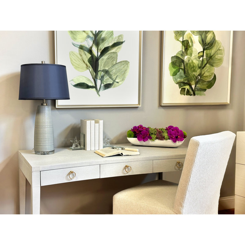 Orchidée Adelina et arrangement de plantes grasses, H 6,5 po x l 19,5 po x P 8 po