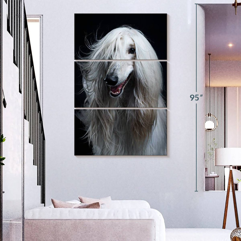 Brampt Long Haired Afghan Hound, 74" H x 48" W
