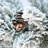 Flocked Christmas Tree With Warm White LED Lights, Pine Cones & Pot Base