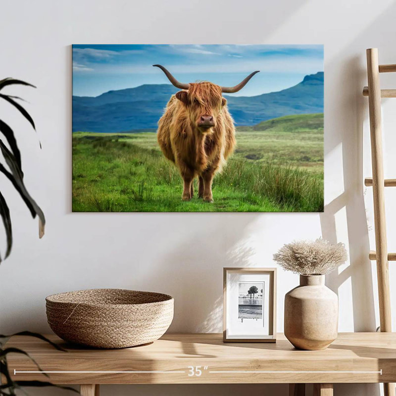 Brampt Irish Highland Cow, 16" H x 24" W