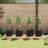Plant Stand - Set of 4