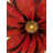 Red Daisy Print On Canvas