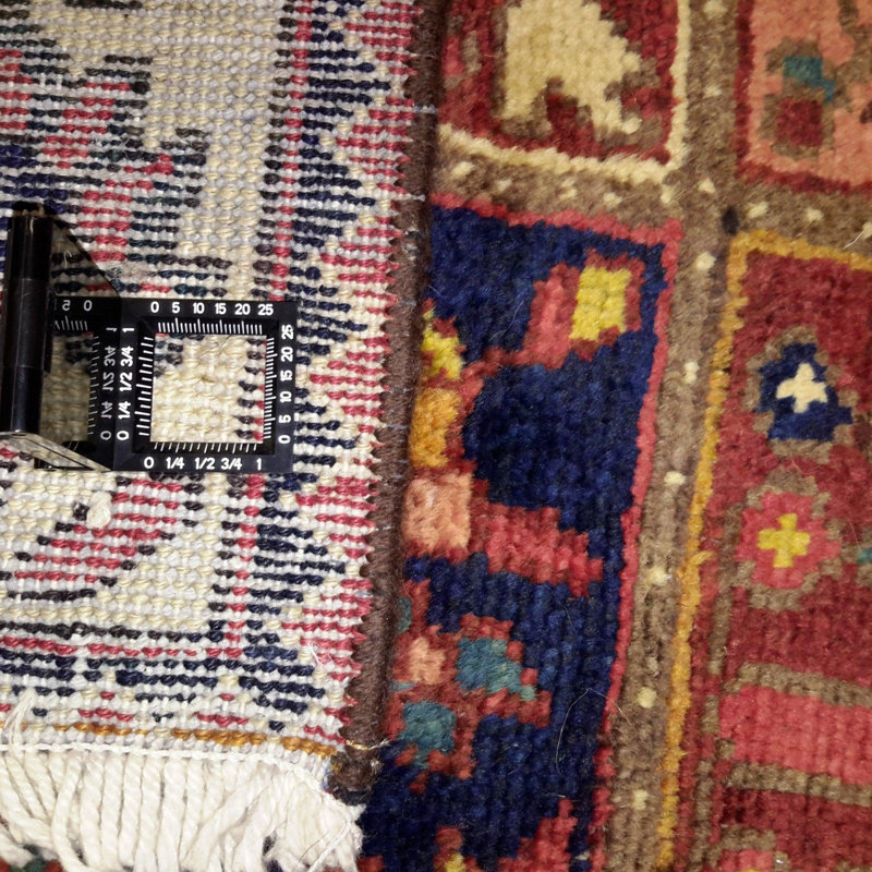 Oriental Rug