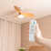 Osmel 36cm Ceiling Fan with LED Lights