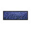 «Bluebonnet» panoramique dans un champ, Hill County, Texas, reproduction de photo sur toile-2075334526-2138165949
