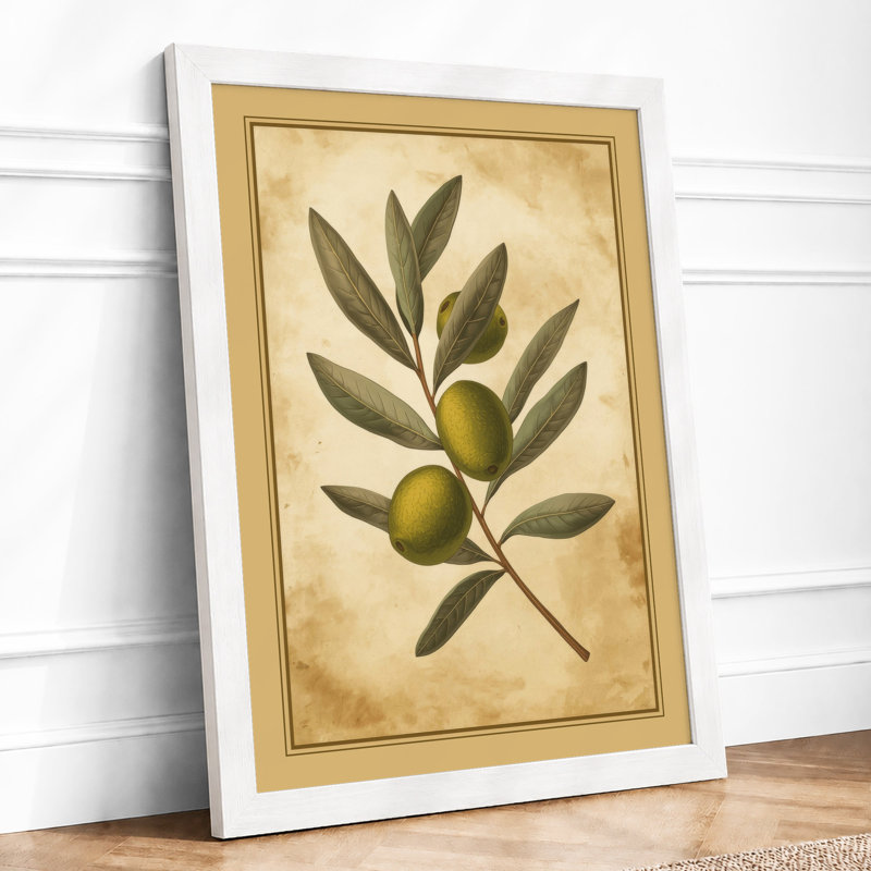 Olive Branch Study Botanical - Framed Print, A4 - 29.7 x 21.0 cm, White