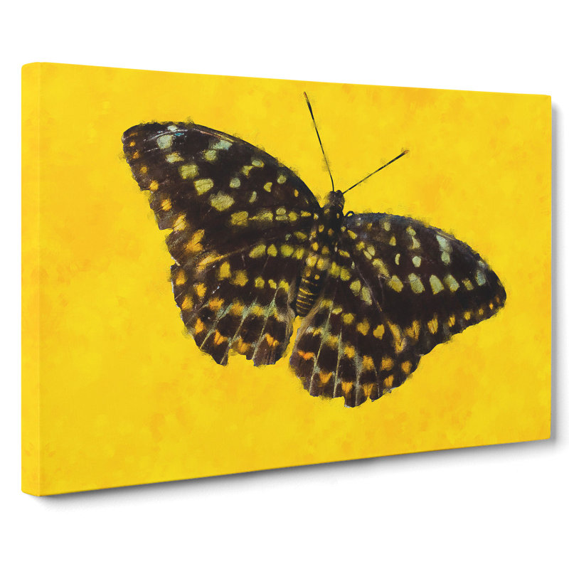 Butterfly Vol.4 - Wrapped Canvas, 35cm H x 50cm W x 3cm D