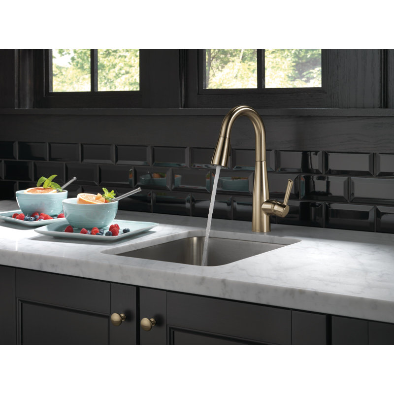 Essa Pull Down Sprayer Bar Faucet, Single Handle Prep Sink Faucet, Champagne Bronze