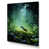 Wrapped Canvas