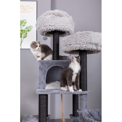 Arbre à chat 63 po avec hamacs et jouets Catry