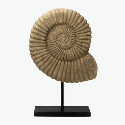 19" H Natural Stone Nautilus Statue