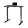Adjustable Standing Desk