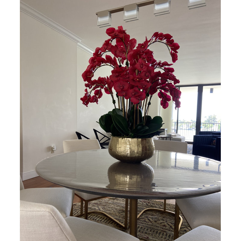 Orchidée Roberi en pot