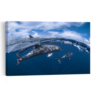 Dolphins Above Below Abstract Dolphin Nature Ocean Wall Art Print 1 Piece Wrapped Canvas Wall Art