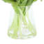 Vraies tulipes dans un vase en verre-1820947973