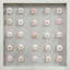 Pink Sea Urchin Framed Memorabilia