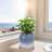 High-quality ceramic flower pots-947891665
