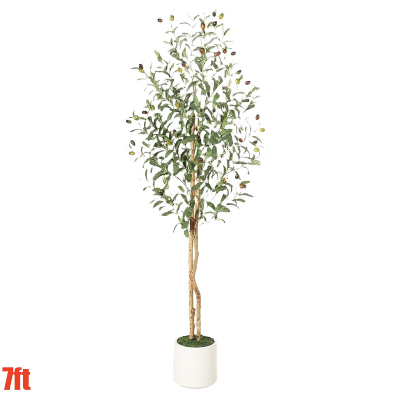 Olive Trees, H 83,8 po x l 8,6 po x P 8,6 po