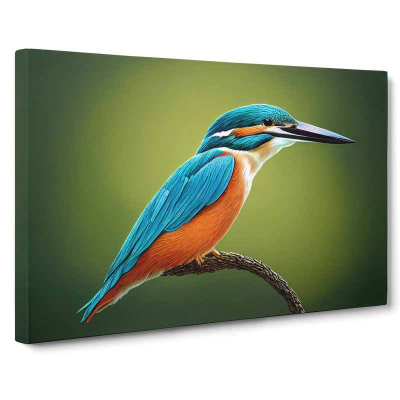 Dynamic Kingfisher Bird - Wrapped Canvas Photograph - Wrapped Canvas, 35cm H x 50cm W x 3cm D