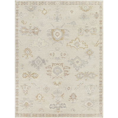 Hand Knotted Oriental Indoor / Outdoor Rug